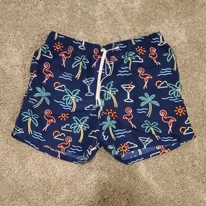 Chubbies Blue Neon Flamingo Palm Tree Swim Trunk Shorts